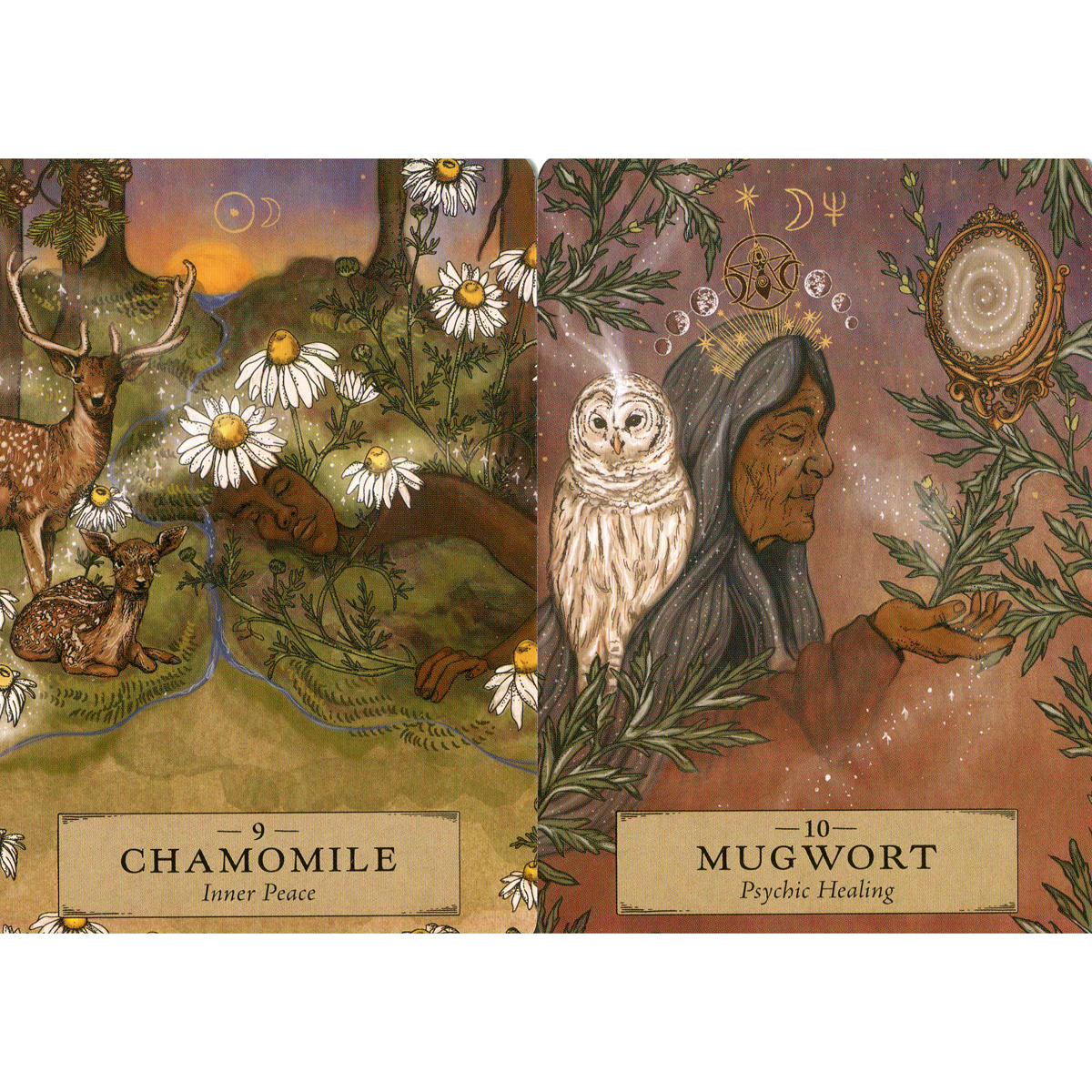 The Herbal Astrology Oracle (Pocket Size) by Adriana Ayales