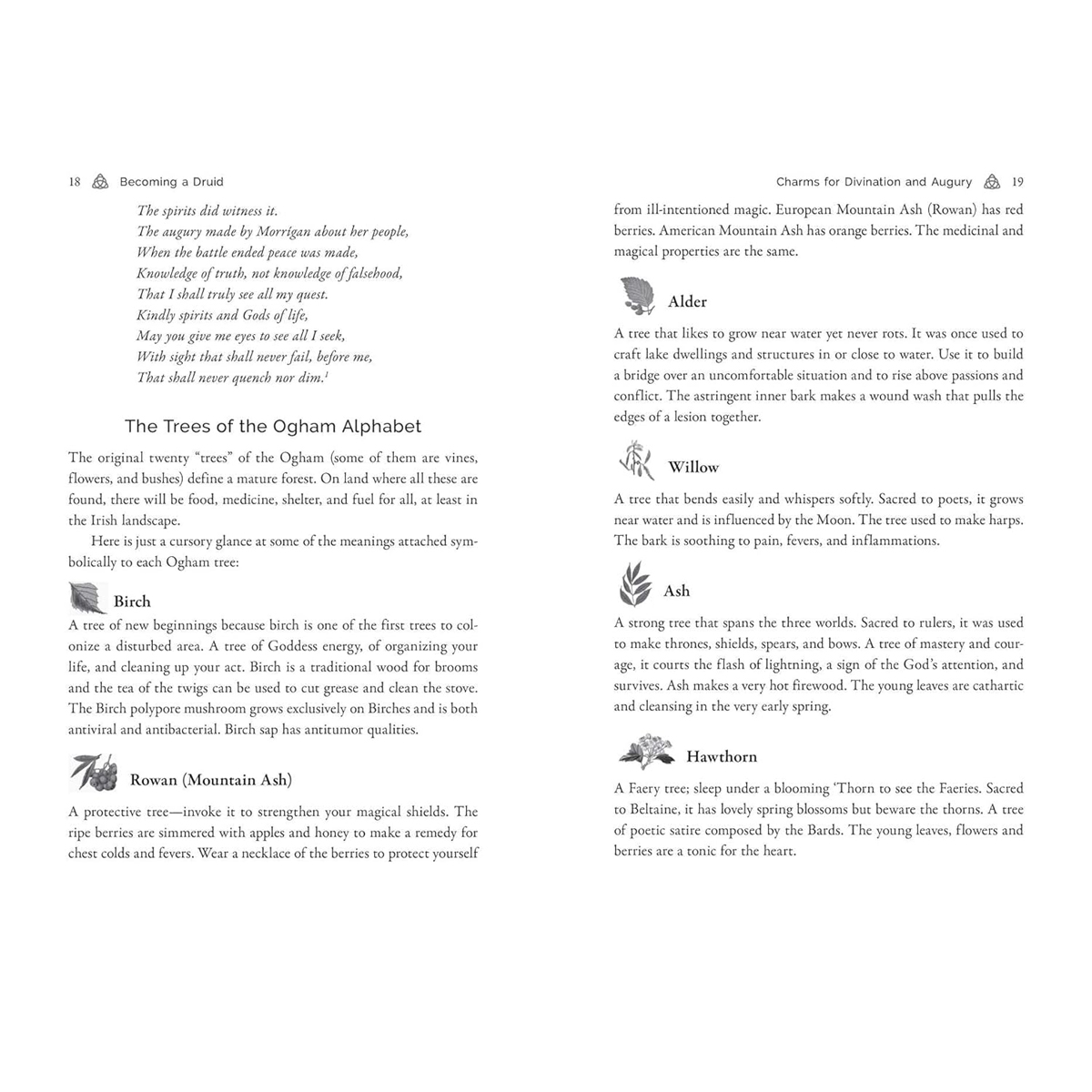 Celtic Druidry by Ellen Evert Hopman