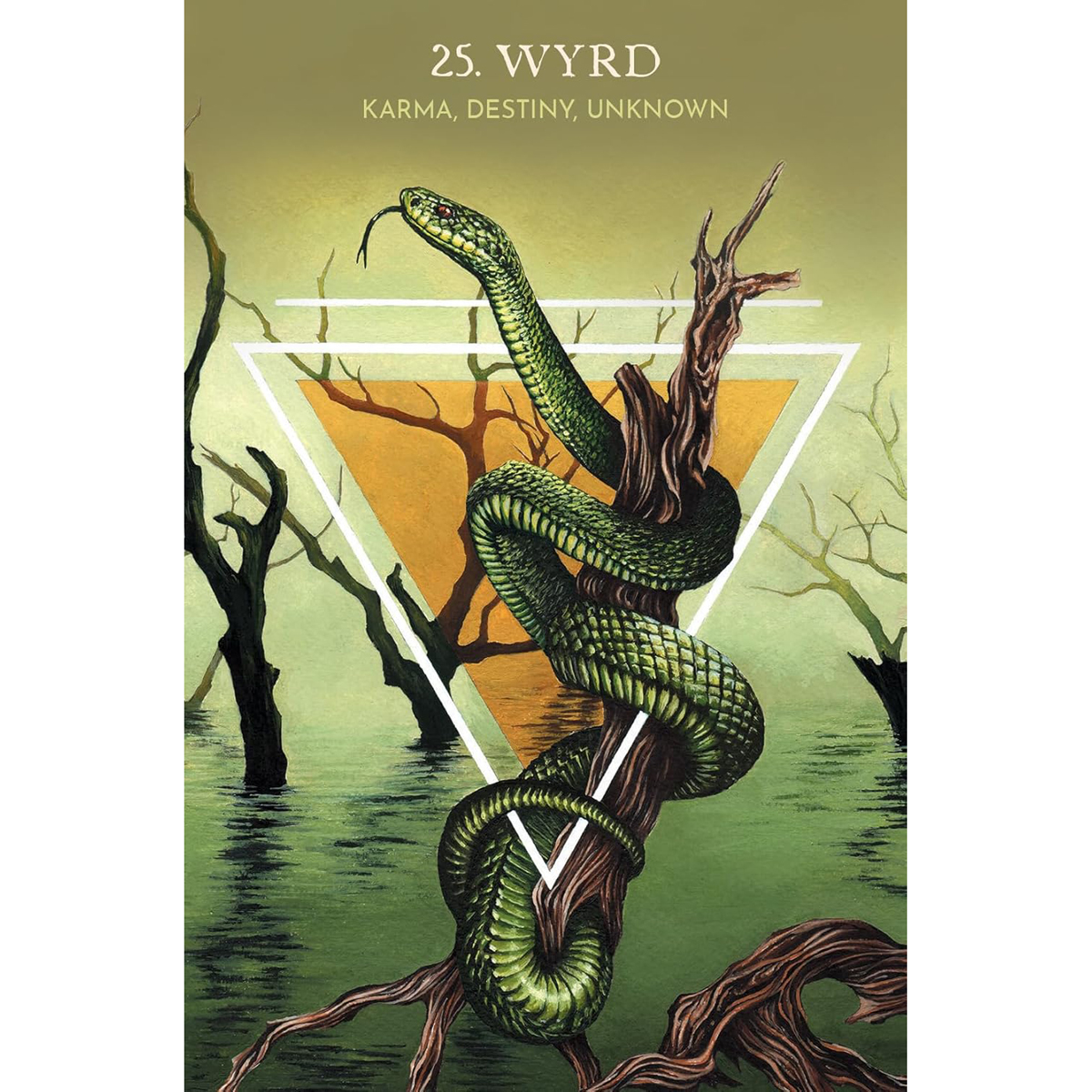 Animal Guide Rune Cards by Dawid Lipka & Bartosz Mazik