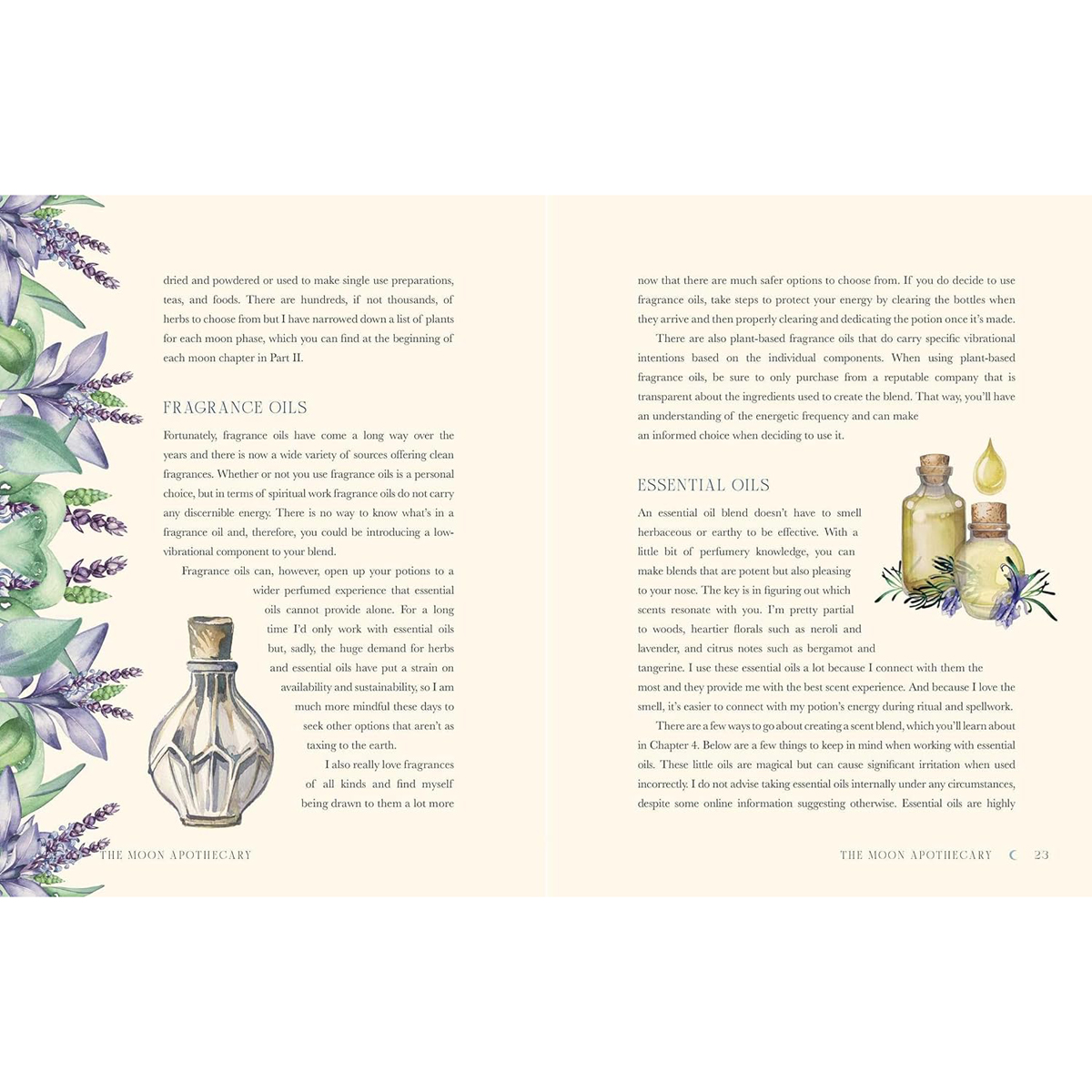 The Moon Apothecary by Lorriane Anderson