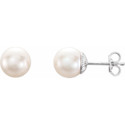 Sterling Silver 8-8.5 mm Freshwater Cultured Pearl Earrings