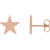 14K Rose 6.2 mm Star Friction Post & Back Earrings