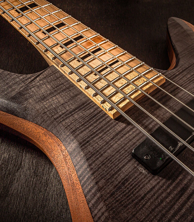Bass strings running across the pickups and pickguard and over the neck.