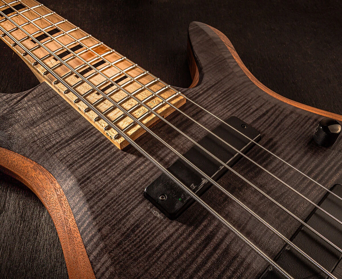 Bass strings running across the pickups and pickguard and over the neck.