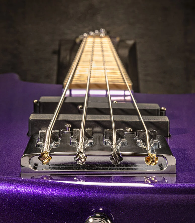Strings anchored over the saddles of a bass.