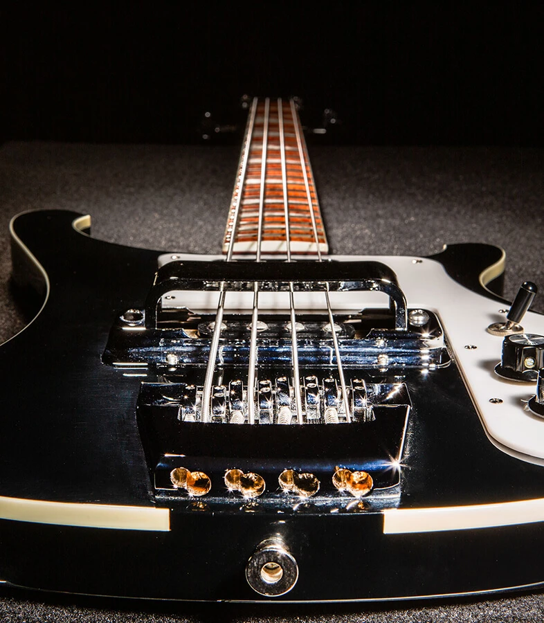Strings anchored over the saddles of a bass.