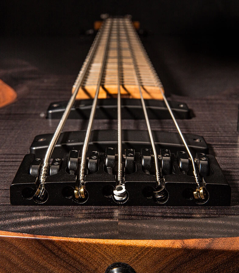 Strings anchored over the bridge of a bass.