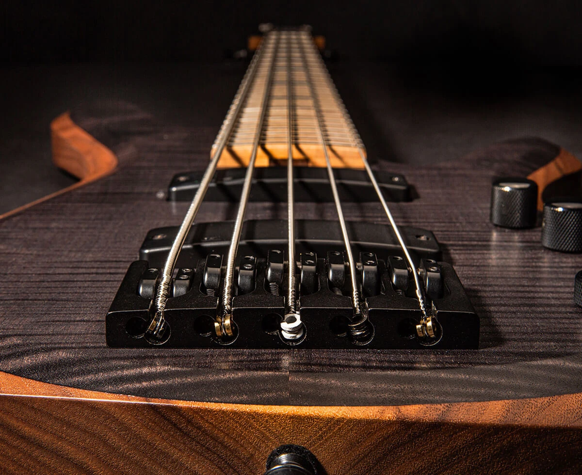 Strings anchored over the bridge of a bass.