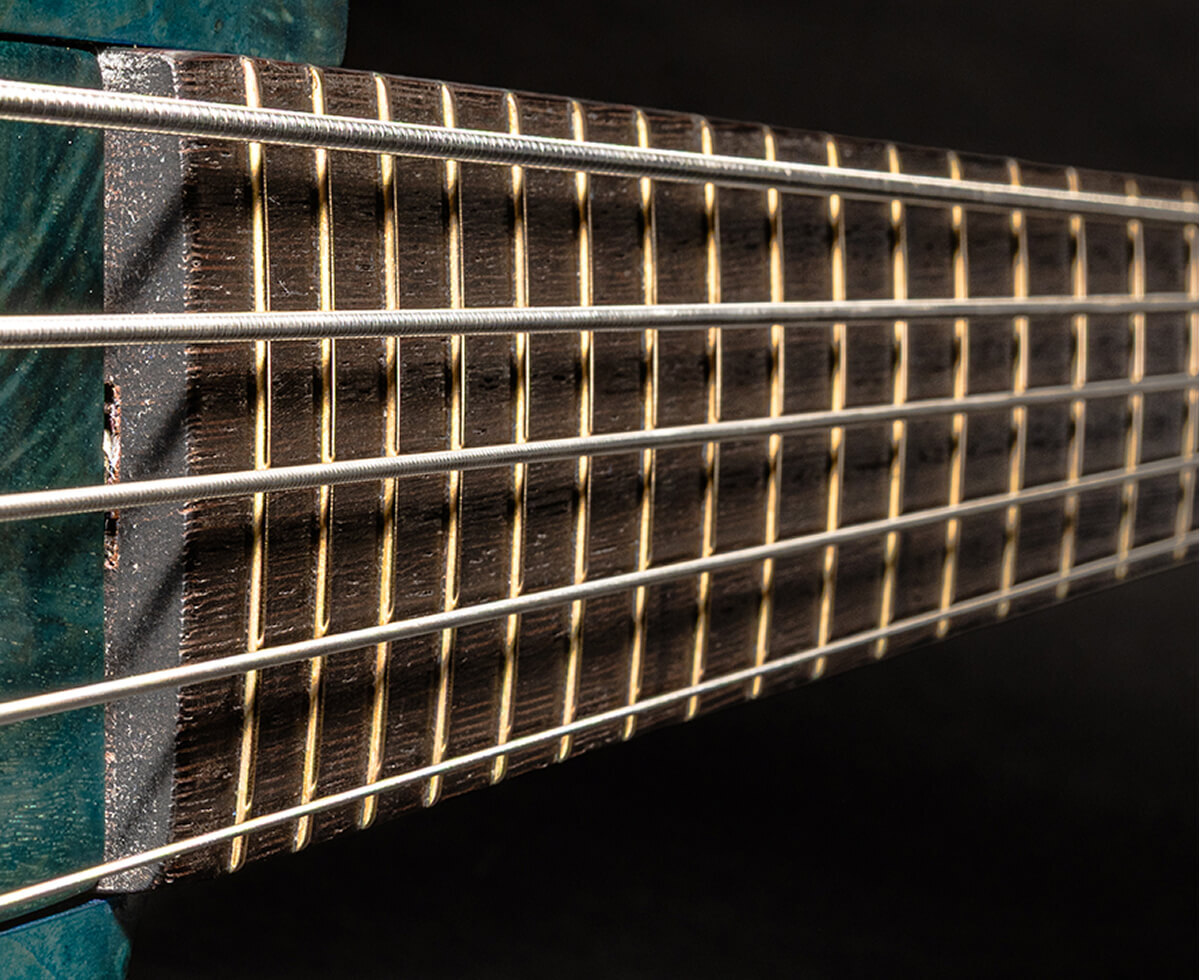 The strings of a five-string bass running the length of the fretboard.