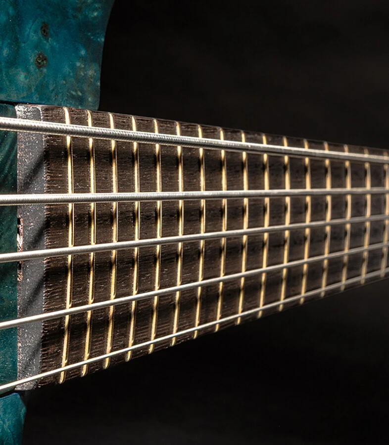 The strings of a five-string bass running the length of the fretboard.