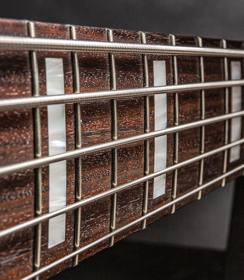 The strings of a five-string bass running the length of the fretboard toward the headstock.