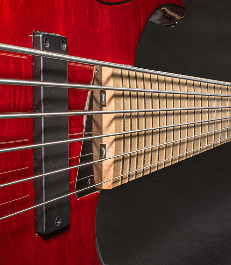  The strings of a six-string bass running the length of the fretboard toward the headstock.
