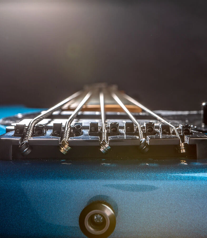 The strings of a five-string bass running from the bridge toward the headstock.