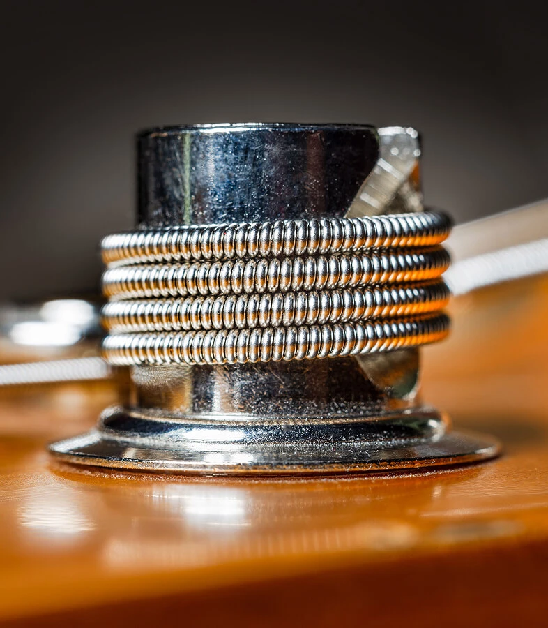 A bass string wound around a tuning post on the headstock.