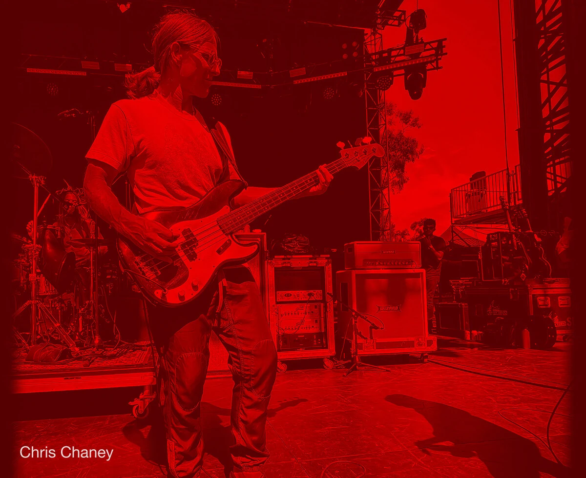 Bassist Chris Chaney performing live with a four-string bass.