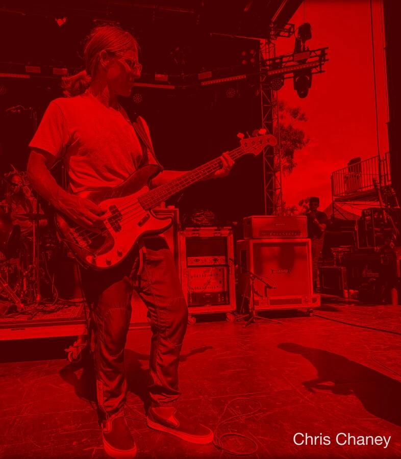 Bassist Chris Chaney performing live with a four-string bass.