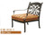 DWL Garden Monarch Club Chair