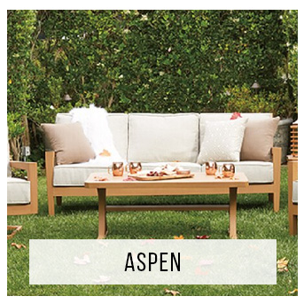 aspen.jpg