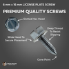 Features of high quality license plate screw