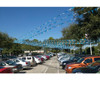 Metallic Streamers (60' long) (7 styles) (1 per pack)