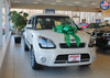 Green 30" Magnetic Giant Car Bow
