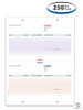 Laser Cash Receipt Form - 4 Holes (Form LZR-CR) (250 per pack)
