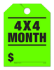 4x4 Month - Fluorescent Jumbo Mirror Hang Tags - 5 Color Options (50 per pack) (Green)