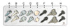 License Plate Hardware Kit - Universal Screw Set (400 Pieces)