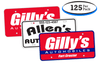 Custom Plastic License Plates - Car Inserts (125 Per Pack)