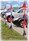 Ground Pennants - 6-Foot-Tall Pole (6 Per Pack)