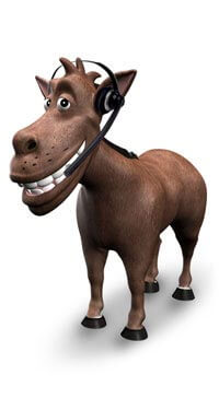 Donkey answering the phone