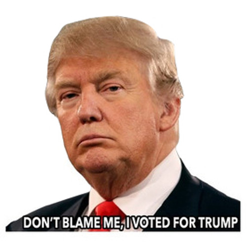 Don't Blame me, I Voted For Trump  Car Window Decal