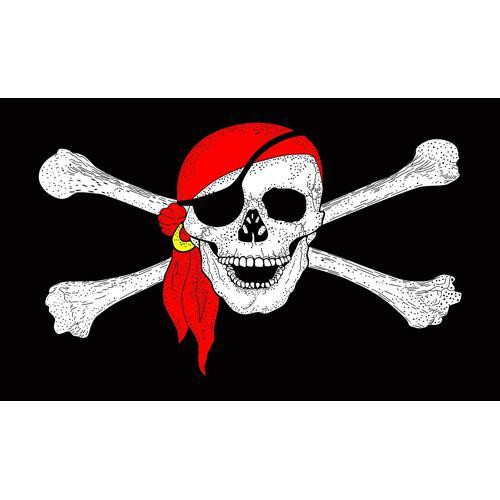 Jolly Roger Pirate Flag