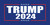 Trump 2024 License Plate *Made In USA*