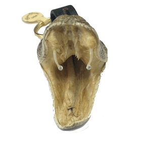 Rattlesnake Keychain with Open Mouth