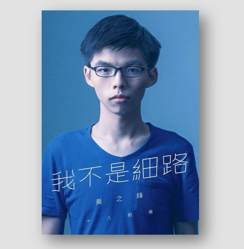 我不是細路：十八前後 (作者:黃之鋒)