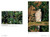 感知西半山 就是自然 (策劃: 龍虎山環境教育中心) The Pulse of Nature: Mid-Levels West by Lung Fu Shan Environmental Education Centre