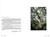 感知西半山 就是自然 (策劃: 龍虎山環境教育中心) The Pulse of Nature: Mid-Levels West by Lung Fu Shan Environmental Education Centre