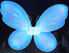Turquoise fairy wings