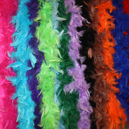 Rainbow Feather Boas  EverythingBranded USA