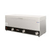 Omcan FW-CN0253 Triple Sauce Pot Warmer, 120V, 600W Omcan FW-CN0253 Triple Sauce Pot Warmer, 120V, 600W