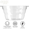 Oggi 7465 Oval Party Tub, Clear Plastic, 18.5" x 11" X 9"