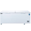 Dukers BD/BG-620 71" Chest Freezer, Bottom Mount, Self-Contained