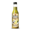 Syruvia Shaved Ice Pina Colada Syrup 12.7 fl. oz.