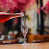Hospitality Brands HGA26020-006 Banquet Champagne, 7 oz., sheer rim, (6/Case) Hospitality Brands HGA26020-006 Banquet Champagne, 7 oz., sheer rim, (6/Case)