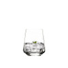 Hospitality Brands HGR45863-006 Ariana Tumbler, 16 oz., clear crystal (6/Case)