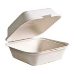 Eco-Friendly Take-Out Containers Eco-Friendly Take-Out Containers