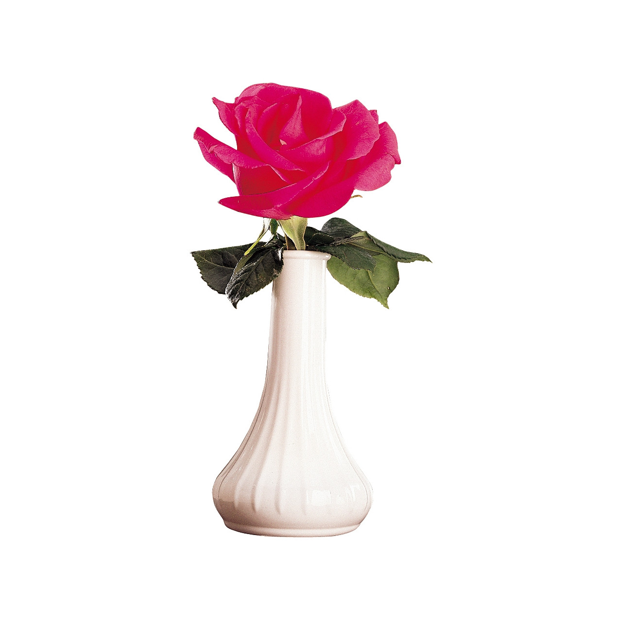 Cambro Bv6cw148 Bud Vase 6 Tall Narrow Neck White Win Depot