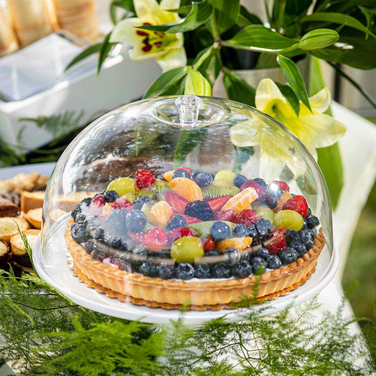 Acrylic Cake Dome Lid Amazon Cake Plate With Cover Homeries