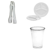 Disposable Plastic Dinnerware
